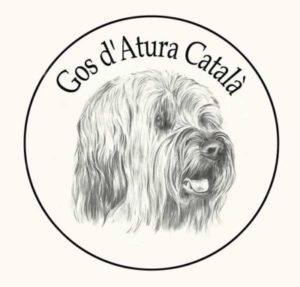 Schweizerischer Club für Gos d'Atura Català